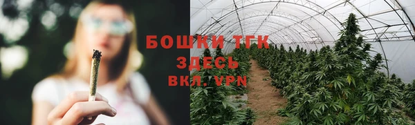 ПСИЛОЦИБИНОВЫЕ ГРИБЫ Алзамай
