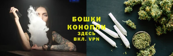 ПСИЛОЦИБИНОВЫЕ ГРИБЫ Алзамай