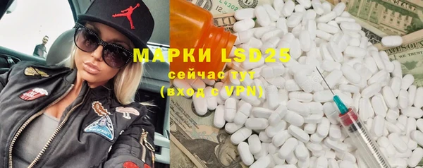 ПСИЛОЦИБИНОВЫЕ ГРИБЫ Алзамай
