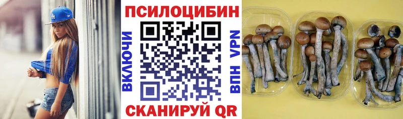 Псилоцибиновые грибы MAGIC MUSHROOMS  купить наркотик  Лермонтов 